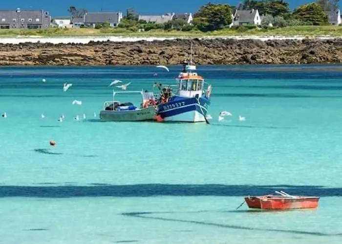 Nouveau - Petit Cocon Pour 4 A Deux Pas De La Hébergement de vacances Argentan